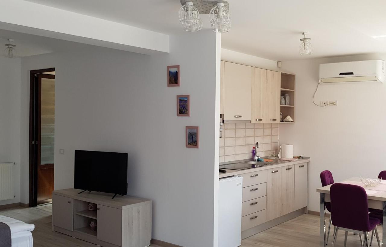 Hotel Casa Montis Borşa Zewnętrze zdjęcie